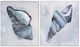 Crestview Collection A Shell Of A Day 2-Piece Wall Art Set-0