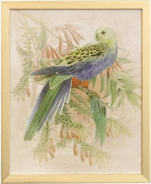Stylecraft Tamara Day for Stylecraft Naturalist Archive II Wall Art-0