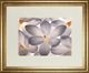 Classy Living Assaf Frank Petal Perfect 40"W Wall Art-0