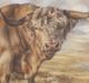 Stylecraft Brown/Light Brown Wall Art-1