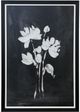 Stylecraft Black/White Wall Art-0