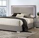 Furniture of America® Sinistra Light Taupe Queen Panel Bed-1