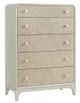 Najarian Furniture Skyline Gray Burl Chest-0