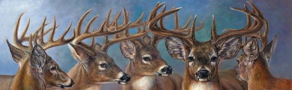Classy Art Five Bucks by Carolyn Mock Framed Wall Art-1