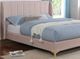 Furniture of America® Pearl Light Pink Queen Upholstered Panel Bed-1