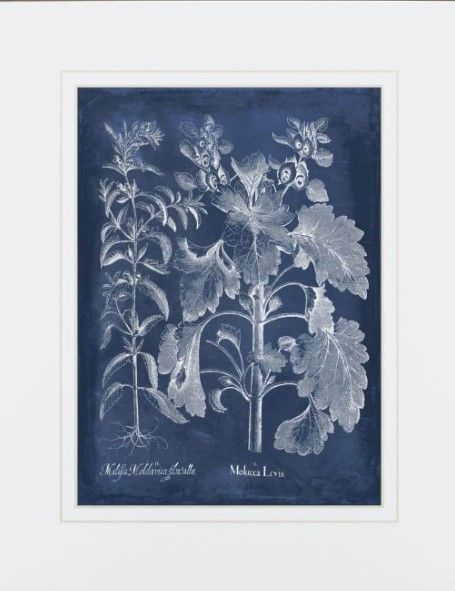 Classy Living Vision Studio Besler Leaves in Indigo I 40" Wall Art-2