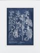 Classy Living Vision Studio Besler Leaves in Indigo I 40" Wall Art-2