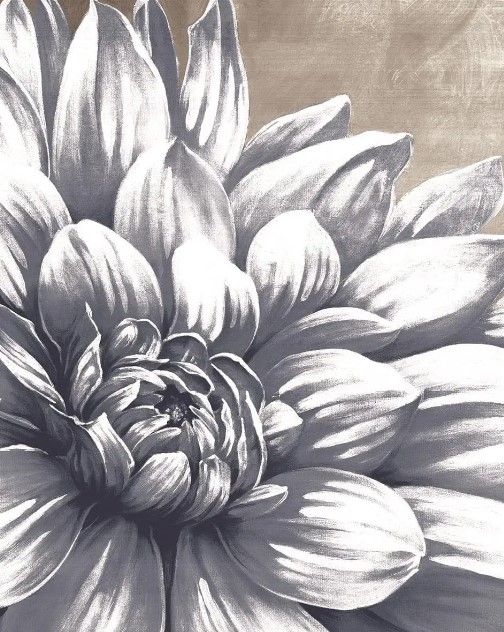 Classy Art Charming Floral I by Dogwood Portfolio Wall Art-0