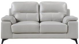Mazin Furniture Mischa 2 Piece Silver Gray Sofa/Loveseat Set-1