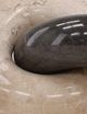 Dovetail Furniture Yaelle Black/Cream Chain Link-2