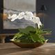 Uttermost® Transcend Antique Brass Orchid Centerpiece-1