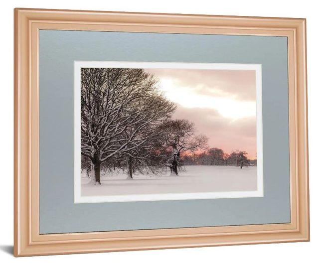 Classy Art Rosy Sunset by Frank Assaf Wall Art-1