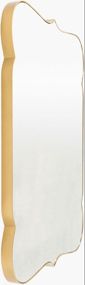 Surya Imelda Gold Accent Mirror-1
