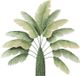 A & B Home Green Banana Leaf-0
