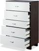 ACME Furniture Eloy White/Espresso Chest-1