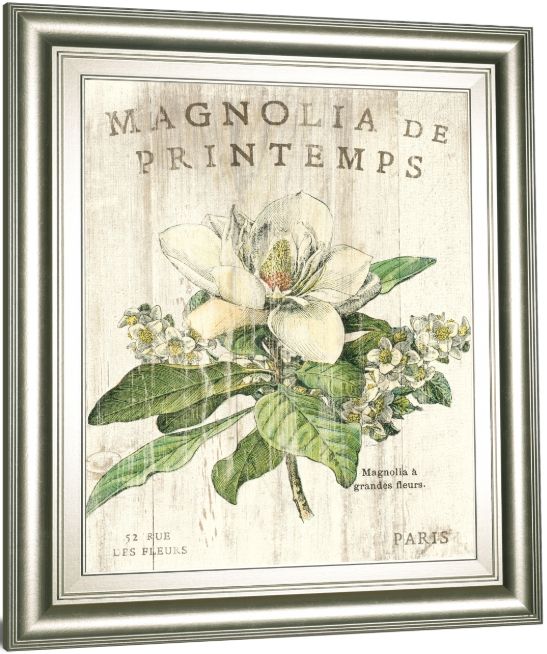 Classy Living Parisian Magnolia Wall Art-2