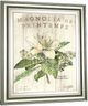 Classy Living Parisian Magnolia Wall Art-2