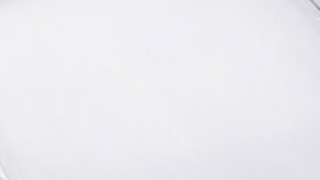 Lynx® Stainless Steel Griddle Plate-1