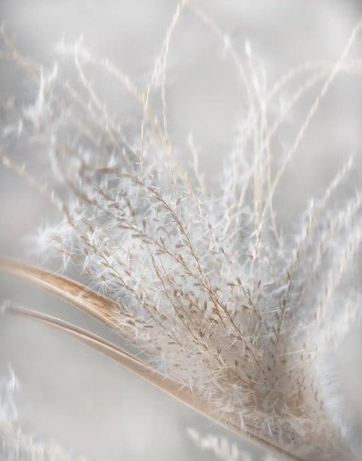 Classy Art Summer Wisps II by Irene Weisz Framed Wall Art-2