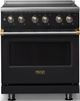 Viking® 5 Series 30" Onyx Pro Style Electric Range with Brushed Brass Trim-0