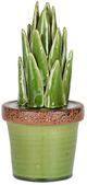 A & B Home Brown/Green Ceramic Plant Decorate-0