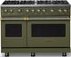 Viking® 5 Series 48" Martini Pro Style Gas (LP) Range with Brushed Brass Trim-0