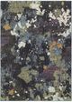 Oriental Weavers™ Evolution 5'x7' Style 9 Area Rug-0
