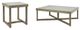 Signature Design by Ashley® Challene 2-Piece Light Gray Living Room Tables Set-0