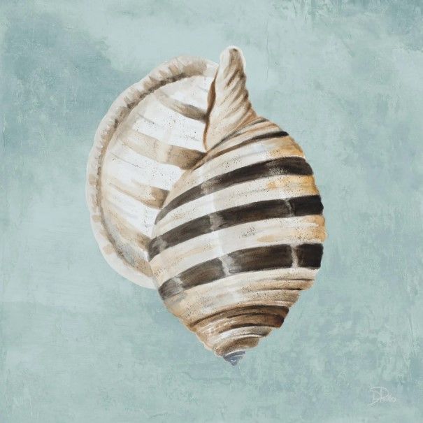Classy Art Modern Shell on Teal I by Patricia Pinto Wall Art-0