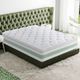 Primo™ International Ginger Cloud Nuovo 14" Hybrid Plush Pillow Top Twin Mattress in a Box-1