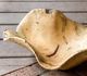 Uttermost® Tamarine Natural Bowl-3