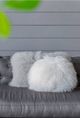 A & B Home Gila Pillow-3
