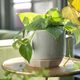 Magnolia Home by Joanna Gaines Blue 7" Crackle Planter with Fluted Saucer-3