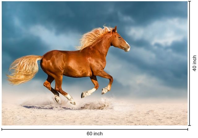 Classy Living Golden Gallop Wall Art-2