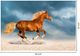 Classy Living Golden Gallop Wall Art-2
