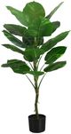 Monarch Specialties Inc. Green/Black 54" Artificial Potted Dieffenbachia Tree-0