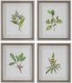 Uttermost® Wildflower Study 4-Piece Framed Print Set-0