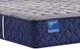 Sealy® Carrington Chase Wild Canyon 12.5" Wrapped Coil Firm Tight Top Queen Mattress-1