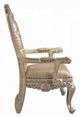 ACME Furniture Vatican 2-Piece Champagne Silver Arm Chair Set-4