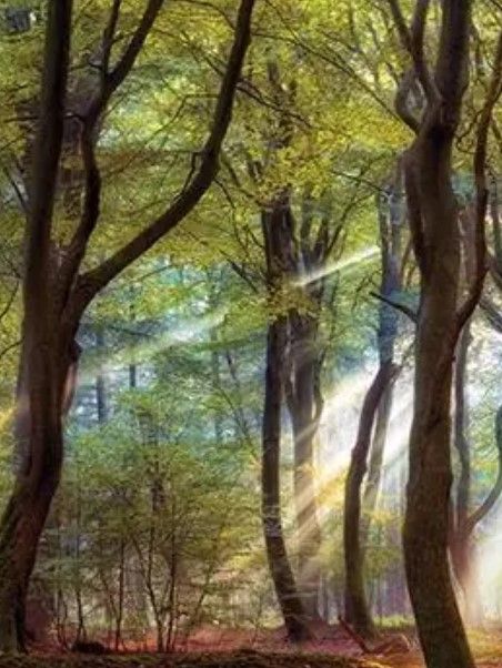 Classy Art Majestic Morning by Lars Van De Goor Wall Art-1