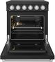 Thor Kitchen 30" Black Pro Style Electric Range with Precision Knob Control & Stainless Steel Hardware-1