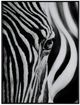 Crestview Collection Half Shadows Wall Art -0