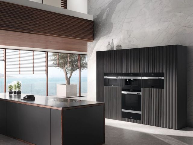 Miele 24" Clean Touch Steel Built In Coffee Maker-2