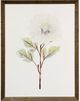 Stylecraft Light Green/White Framed Print-0