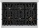 ZLINE Classic 36" Stainless Steel Pro Style Gas Range with Black Matte Door and Champagne Bronze Accents -1