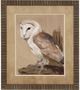 Stylecraft Beige/Brown Framed Print-0