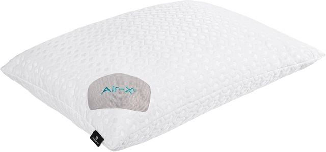 BEDGEAR® Dri-Tec® Air-X™ Queen Pillow Protector-0