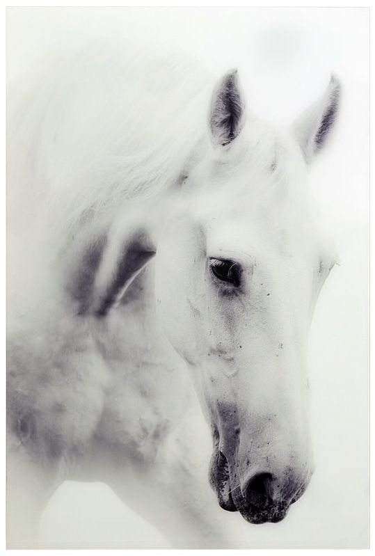 YHD Nature's Beauty II Wall Art-0