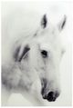 YHD Nature's Beauty II Wall Art-0