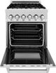 ZLINE Legacy 24" Satin Stainless Steel Pro Style Dual Fuel Range with White Matte Door-1